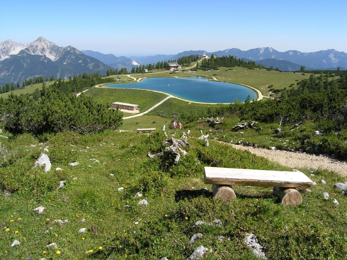 Гостевой дом Berg-Panorama-Hof Sturmgut Хинтерстодер Экстерьер фото